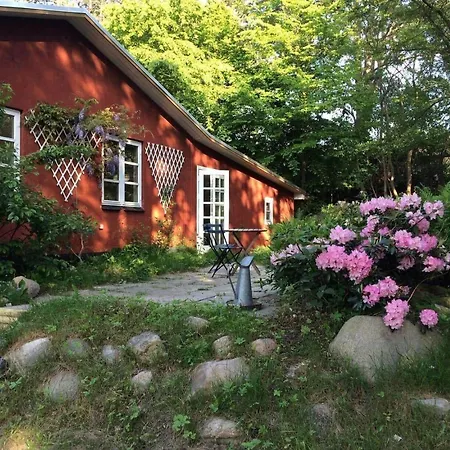 15505-farevejle-tjornebakken-9 *